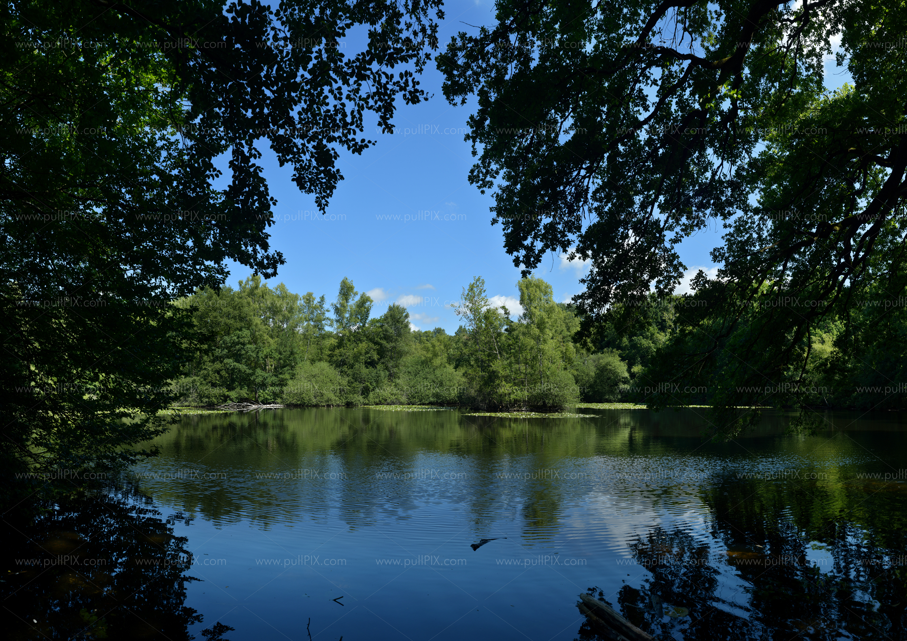 Preview Leyenweiher.jpg
