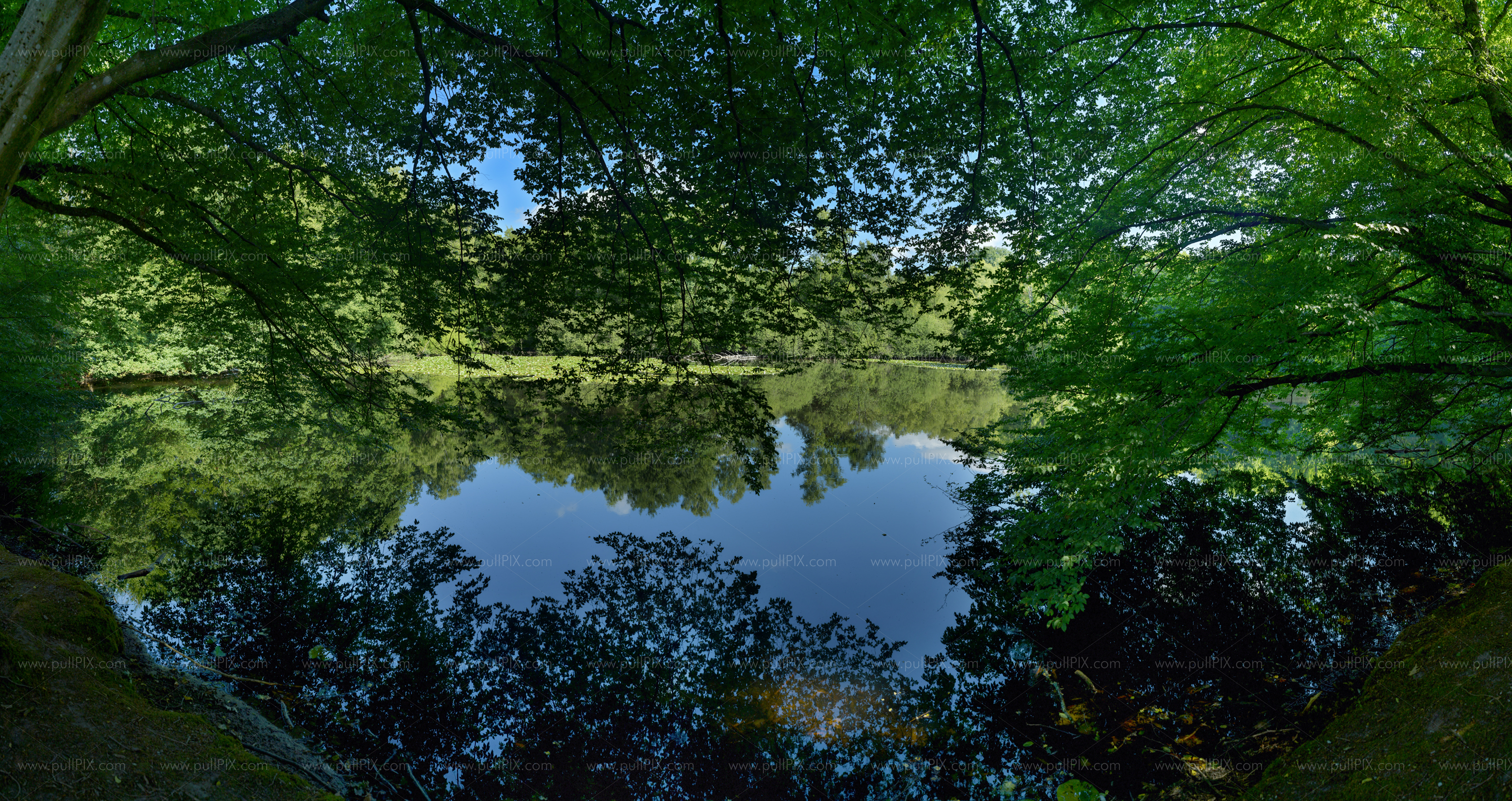 Preview Leyenweiher_02.jpg