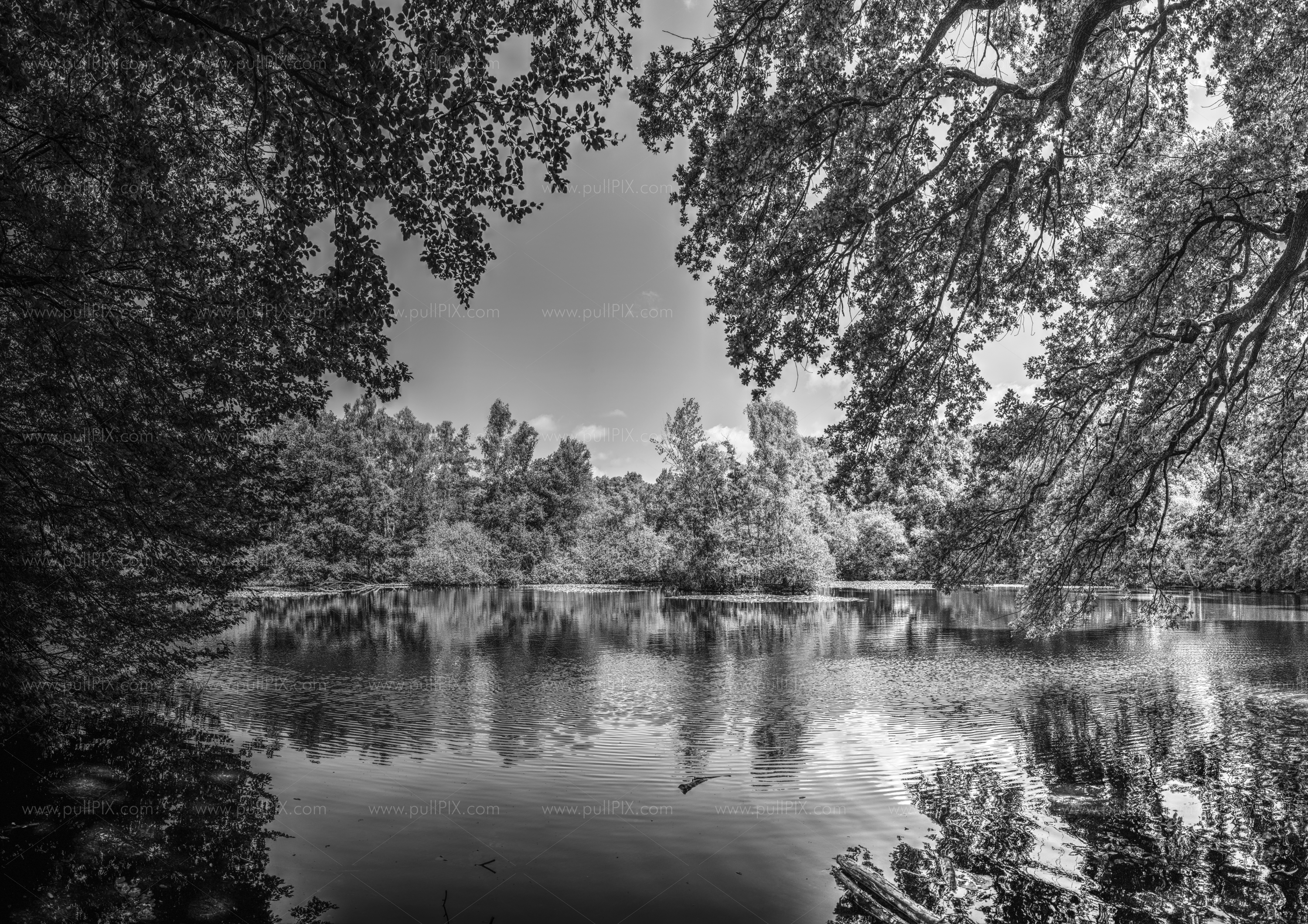 Preview Leyenweiher_Mono.jpg