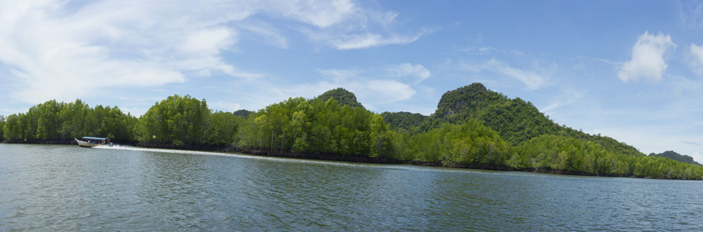 Preview mangroven.jpg